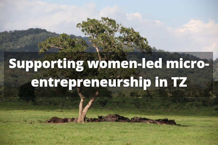 Supporting TZ women entrepreneurship