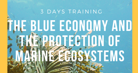 Training - "The Blue Economy and the protection of marine ecosystems"