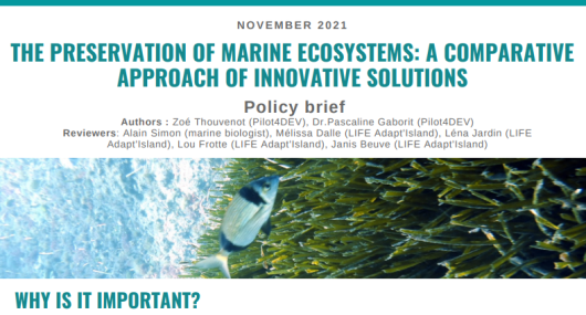 POLICY BRIEF N°4 - THE PRESERVATION OF MARINE ECOSYSTEMS: A COMPARATIVE APPROACH OF INNOVATIVE SOLUTIONS
