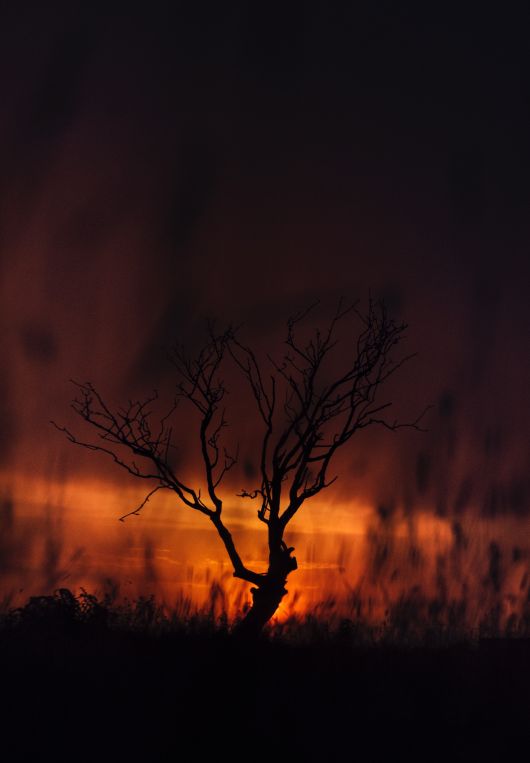 Wildfires in Southern Europe: A Climate Emergency