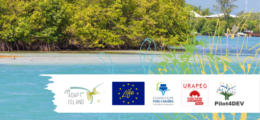 LIFE Adapt'Island | Brochure