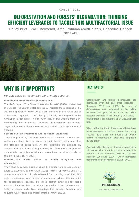 POLICY BRIEF N°3 - DEFORESTATION AND FORESTS' DEGRADATION